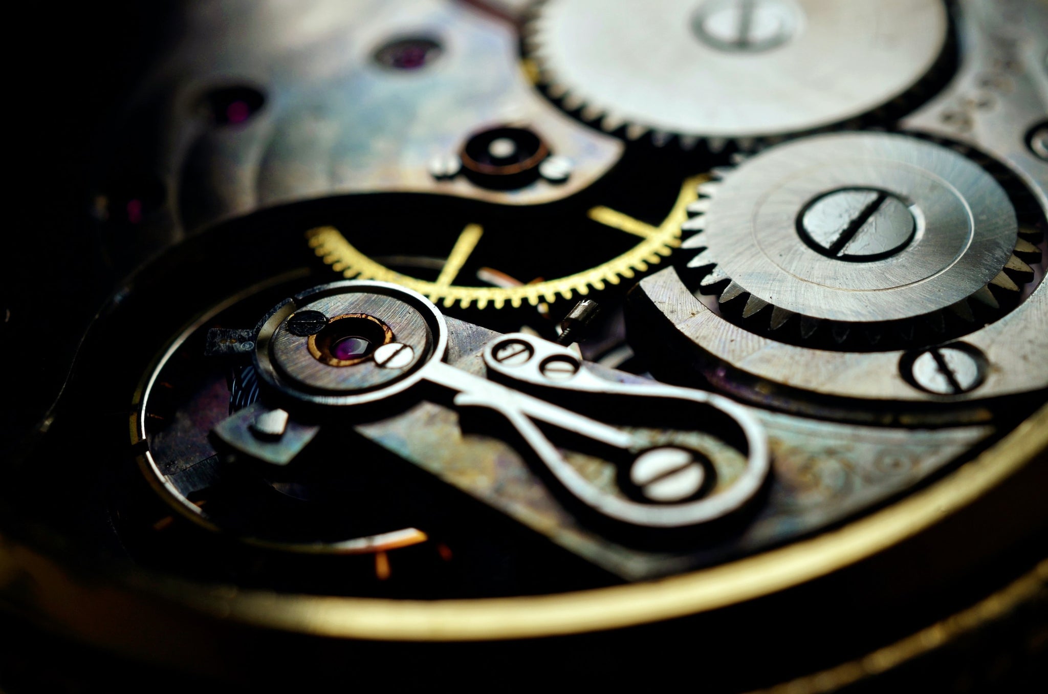 Embarking on a voyage through the intricate realm of watch movements