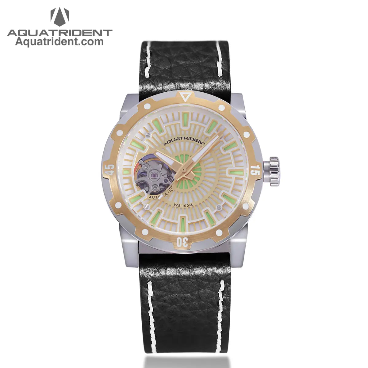 silver and gold steel case- gold reticulated dial-black genuine leather strap-watch