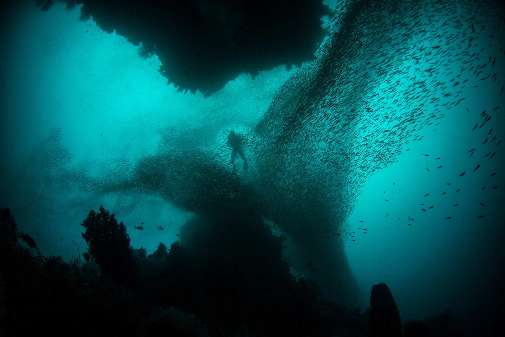 Discovering the Hidden Treasures of Deep-Sea Exploration