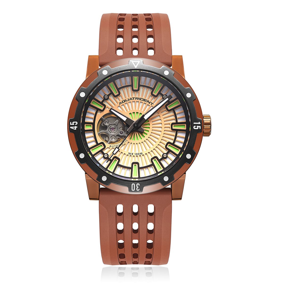 Horizon Watch. Full Lume Dial. Brown Fluororubber and Black Genuine Leather Strap. 43mm. AQ-23012-01